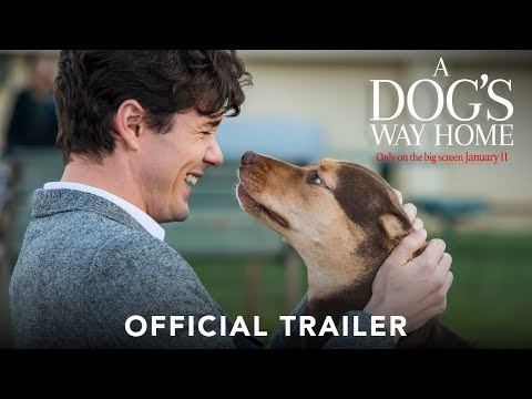 A DOG&#039;S WAY HOME - Official Trailer (HD)
