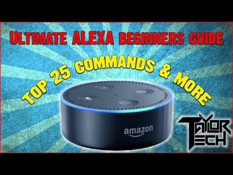 Alexa &amp; Echo Beginners Guide! Set Up | Top Commands