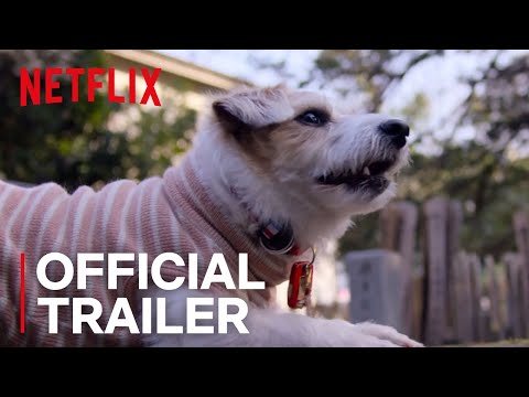 Dogs | Official Trailer [HD] | Netflix