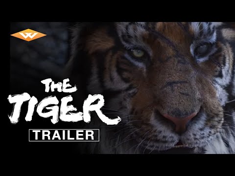 THE TIGER Official Trailer | Korean Drama Action Adventure | Directed by Park Hoon-jung
