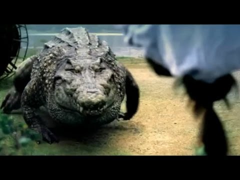 The Million Dollar Crocodile Official Trailer #1 (2012)