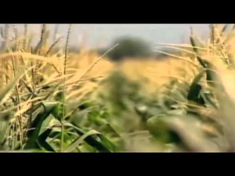 The Future of Food (2004) Official Trailer