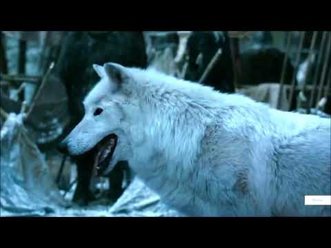 Jon and Ghost (Direwolf) - Game of Thrones