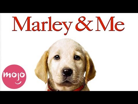 Top 10 Best Dog Movies