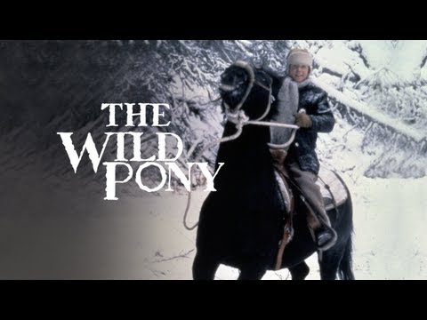 The Wild Pony (Official Trailer)