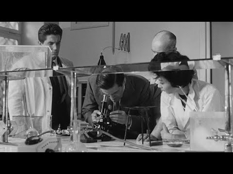 Caltiki, the Immortal Monster (1959, Italy / USA) Trailer