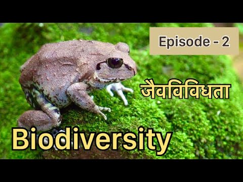 Episode 2 - Biodiversity... The Diversity Of Life (Award Winning Wildlife Documentary)