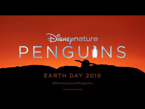 PENGUINS - Official Trailer