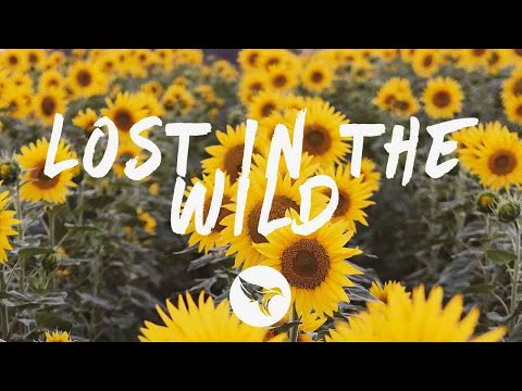 WALK THE MOON - Lost In The Wild (Lyrics)