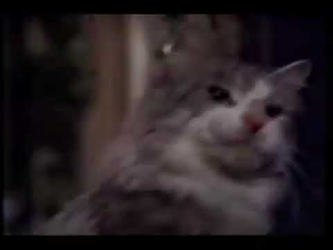 That Darn Cat Movie Trailer 1997 - TV Spot