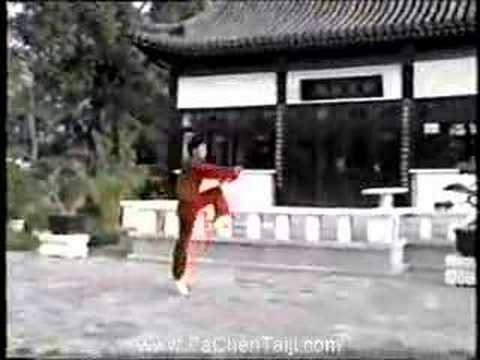 Chen Taijiquan from Chen Village (part 1)