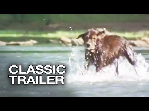 Fluke Official Trailer #1 - Samuel L. Jackson Movie (1995) HD