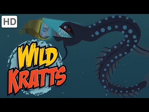Wild Kratts - Dive into the Atlantic Ocean!