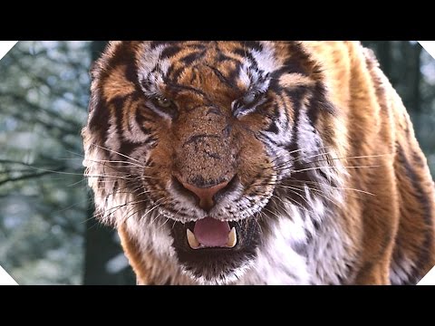 THE TIGER Movie TRAILER (Action, Adventure - Movie HD)