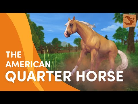 Meet the UPDATED American Quarter Horse 😍🐎💨 | Star Stable Breeds
