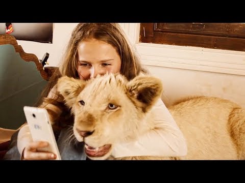 Mia and the White Lion - Official Trailer | In US Theaters April 12 | The Lion Whisperer