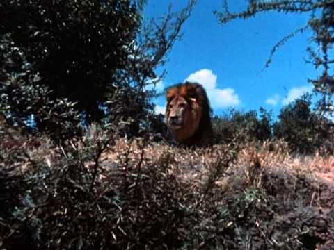 Tarzan (1966 TV Series) Full Intro and Opening Title Theme (a.k.a. &quot;Tarzan&#039;s March&quot;)