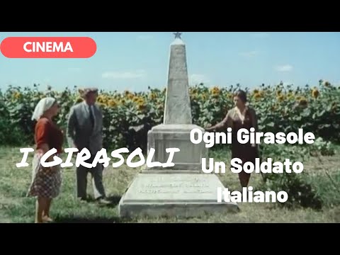 🎥 I GIRASOLI - Ogni Girasole un Soldato Italiano