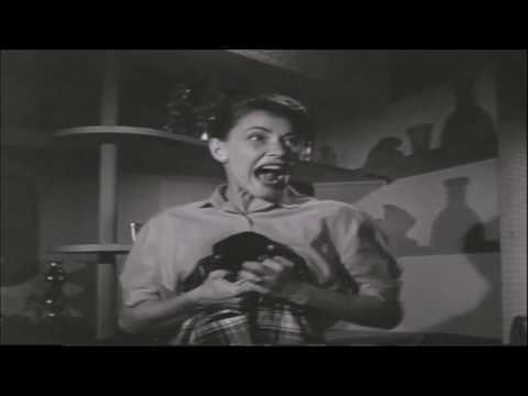 THE KILLER IS LOOSE (1956) ♦RARE♦ Theatrical Trailer