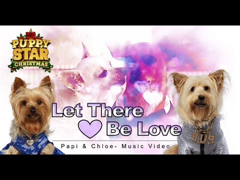 Let There Be Love - Puppy Star Christmas (Music Video/Crossover)