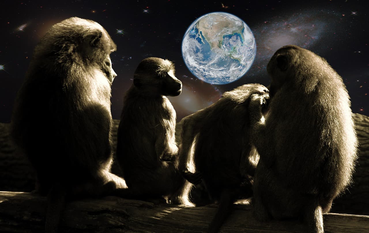 Jak oglądać Planet of the Apes na Netflix za darmo?