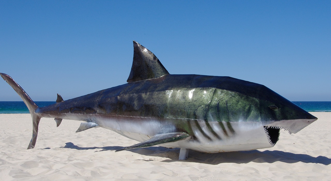 Jak oglądać Sand Sharks przez VPN. Zobacz Sand Sharks z 2011 roku oceniony na 1 na 10 punktów.
