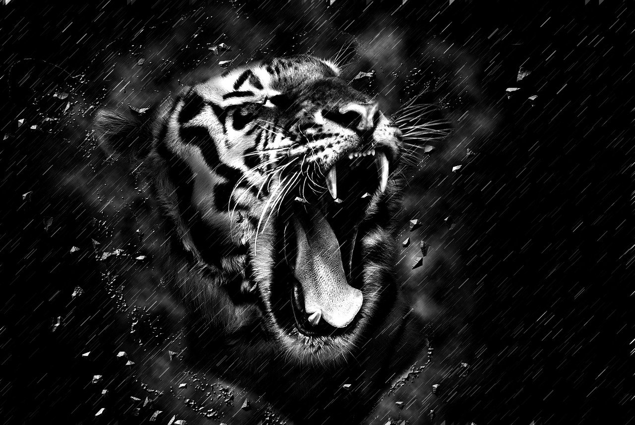 Jak oglądać Tiger Storm white Tiger przez VPN. Zobacz Tiger Storm white Tiger z 1996 roku oceniony na 5.2 na 10 punktów.